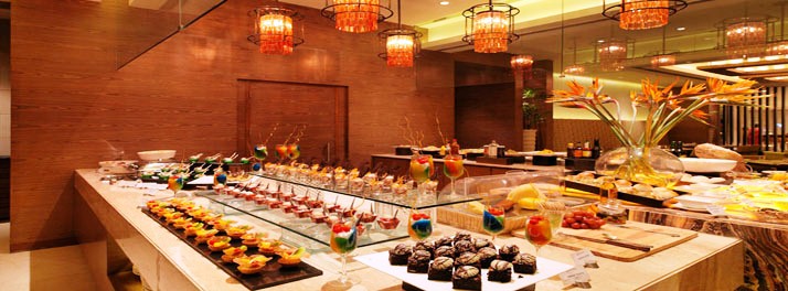 776/Hotel Royal Orchid - Jaipur 07.jpg